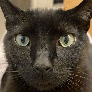 Meet your Posher, Briana